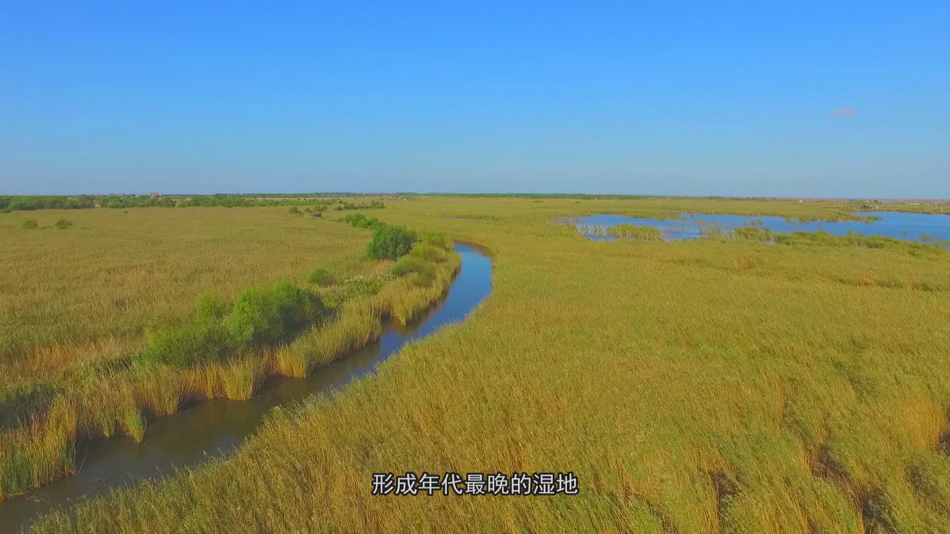 ƺ뺣